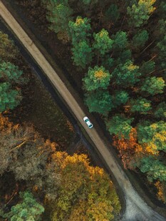 秋日林间公路上的行驶车辆