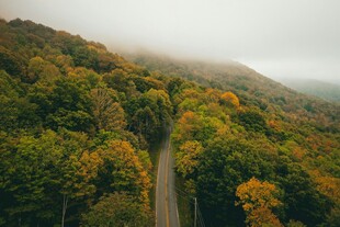 山间秋色公路