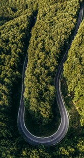 蜿蜒山路穿梭于葱郁山林