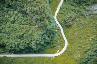 蜿蜒山路穿梭于葱郁山林