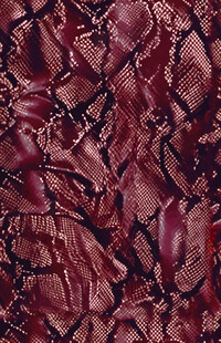 酒红色蛇纹皮革纹理