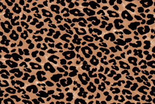 豹纹图案纹理背景