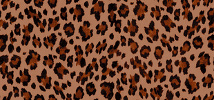 豹纹图案布料纹理