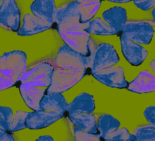 多彩蝴蝶图案背景