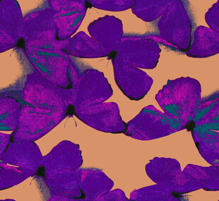 紫色蝴蝶散落背景图