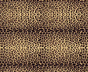 豹纹纹理图案背景