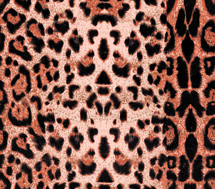 豹纹图案纹理背景图