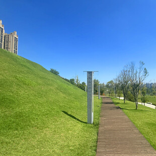 绿草如茵的休闲步道