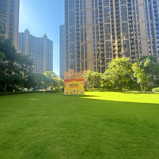 城市中绿意盎然的开阔草坪