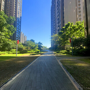 城市中的宁静林荫步道