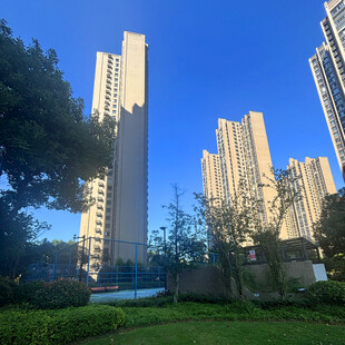 城市高楼旁的绿植景观