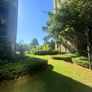 小区内绿意盎然的景观