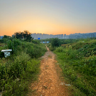 黄昏下的乡间小径