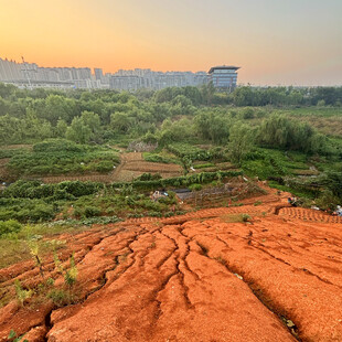 夕阳下的红土地与绿野