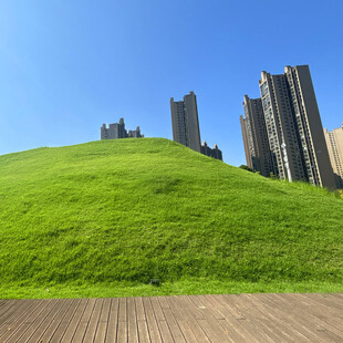 绿草如茵旁的都市高楼