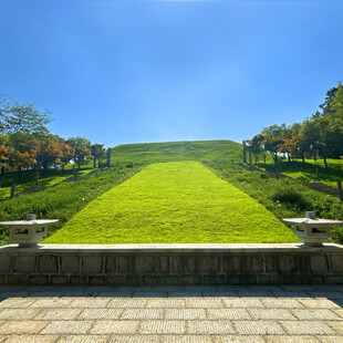 绿意盎然的斜坡景观