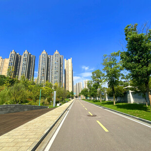 城市道路旁的高楼与绿树