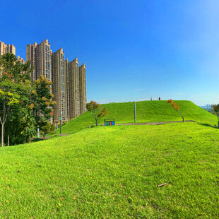 城市旁的翠绿草坪景观