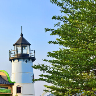 绿树旁的白色灯塔