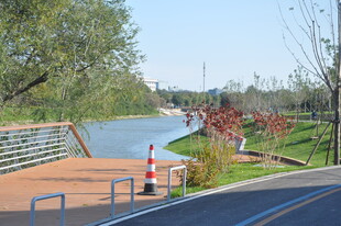 坝河河畔步道风景