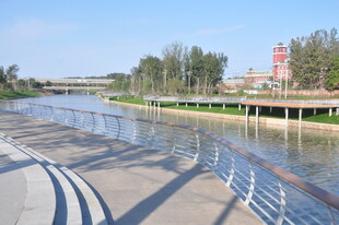 河畔风光宁静河岸景致