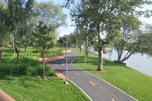 北京坝河湖畔林荫小道