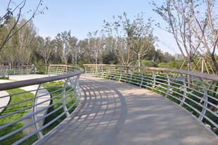 北京坝河公园中的蜿蜒步道