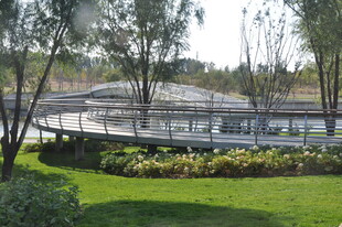 现代园林景观设计一角