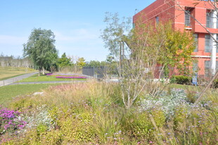 红砖建筑旁的多彩花草景观