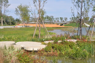 北京朝阳坝河景观湖畔自然景致