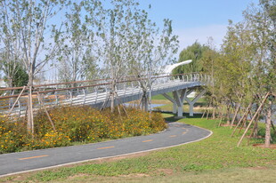 现代景观桥旁的休闲步道