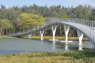 湖畔弧形拱桥美景