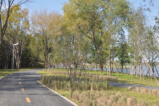 林间公路秋日自然风光