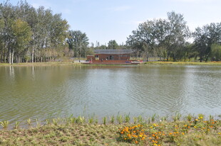 湖畔自然风光美景