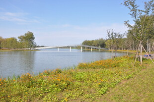 湖畔风光绿意盎然的景致