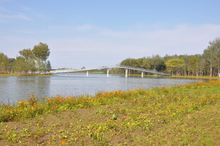 北京朝阳坝河景观