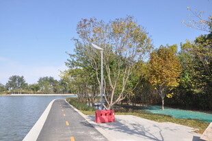 湖边休闲步道景色宜人