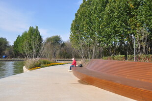 北京朝阳坝河公园湖畔漫步场景