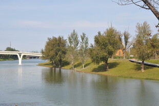 北京朝阳坝河景观树木景观