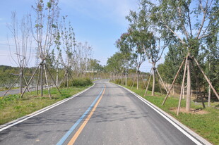 北京朝阳坝河景观自然之旅