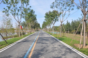 北京朝阳坝河景观柏油道路