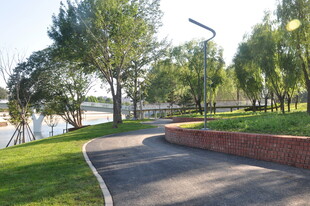 公园中的宁静小路与绿植