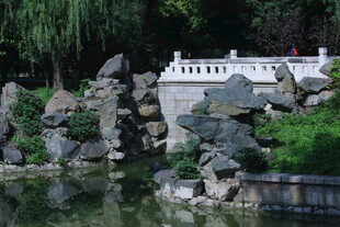 公园风景  
