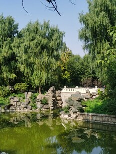 公园风景  