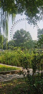 公园风景  