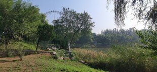 公园风景 