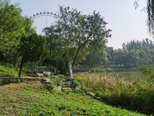 公园风景 
