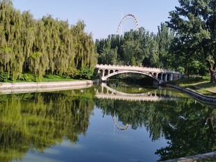 公园风景  