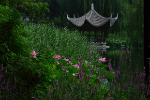 公园风景 