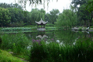 公园风景 